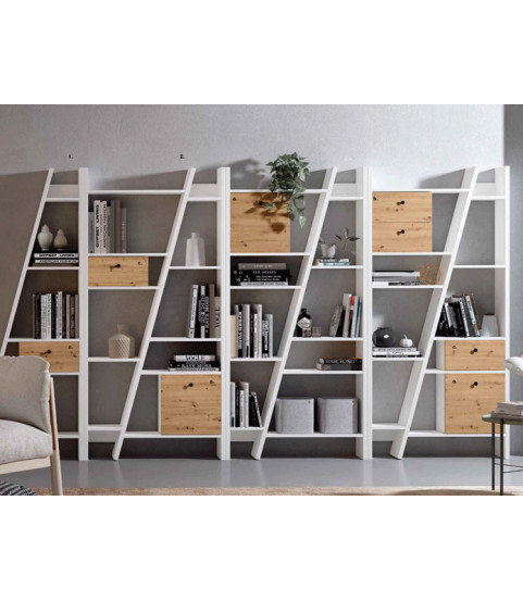 Librería con cajones y puertas