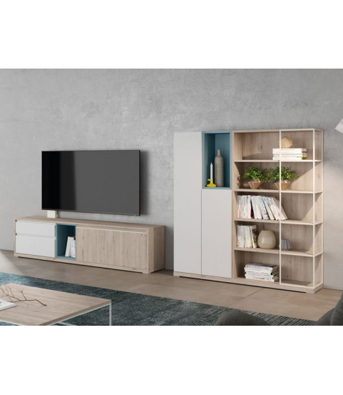 Salón con estantería Muebles Madrid - Muebles Valencia